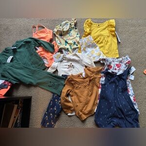 Baby girls 12 month lot